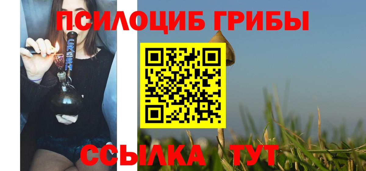 Карасук  Псилоцибиновые грибы Cubensis  продажа наркотиков  Вход с VPN 